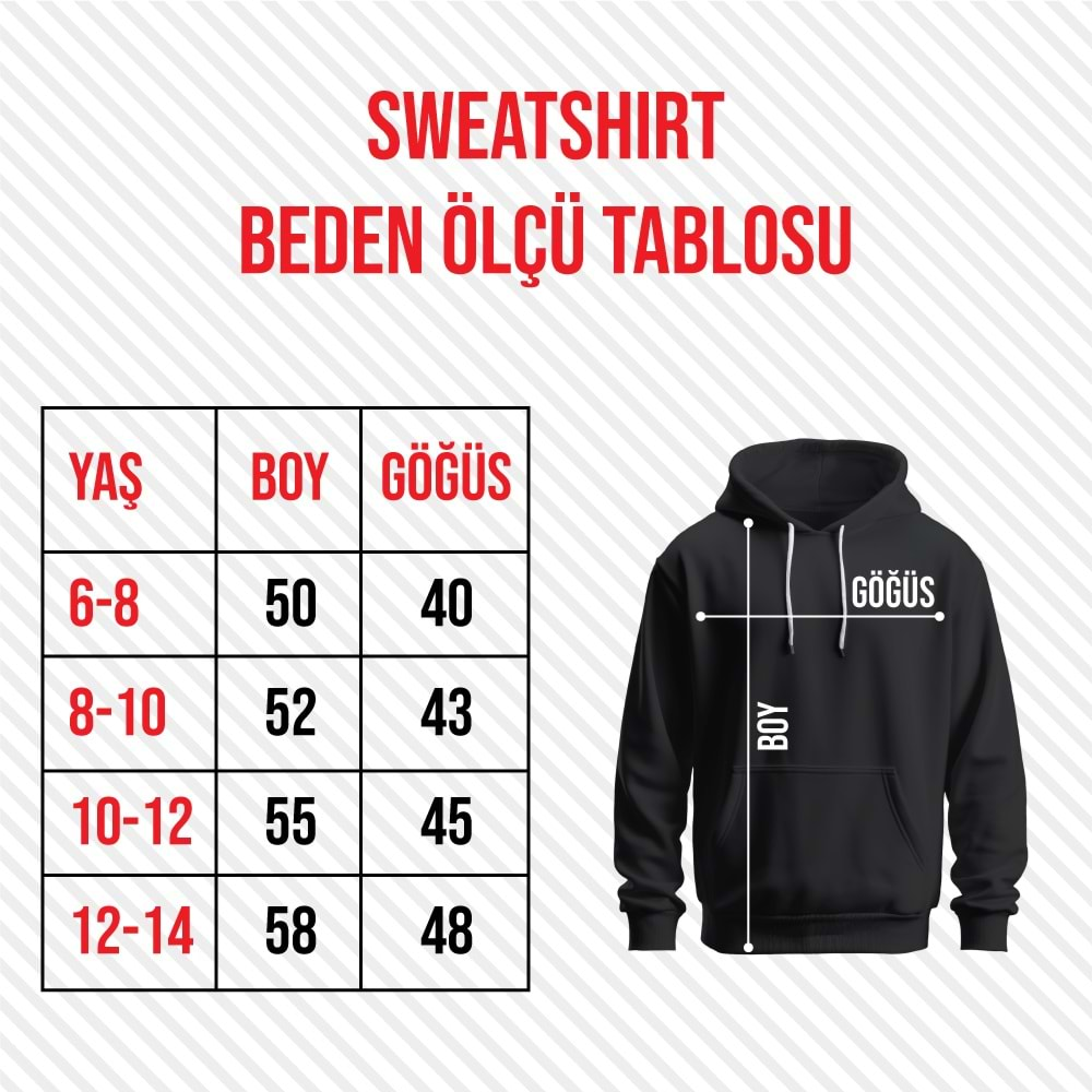 Sweatshirt Model 5