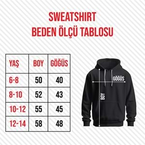 Sweatshirt Model 5