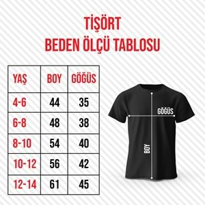 Tişört Model 2